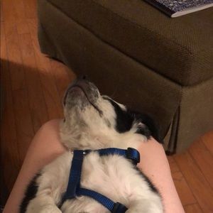 Meet your Posher, Savannah